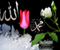 Allah And Muhammad 10