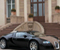 Bugatti Veyron 03