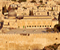 Mosque Al Aqsa 04