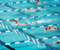 Pool Swimming olimpike