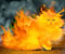 kot pożaru