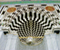 Interior Design Of Masjid Nabawi 07