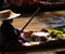 Thai River Market And Culture
