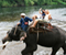 Thailands Elephant Ride