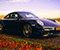 Porsche 911 Flowers