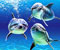 trio delfín