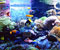 aquarium 03