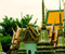 Wat Pho Thailand 03