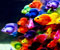 color fishes