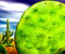 žalias kaktusas