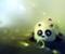 Cute Panda Hra s bublinkami