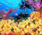 цветни риби