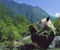 Mutlu Besleme Panda