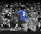 Fernando Torres Chelsea Futbollist
