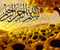 Flower Islamic 05