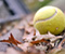 Tenis Ball Leaves Fall Mood 01