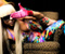 Lady Gaga Blond a klobúk