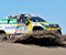 Renault 2014 Gara Rally