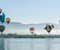 Balloons Lake Ducks