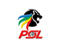 South African Soccer League