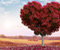 عاشقانه قلب درخت