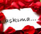 to my love 1