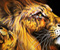 Leo Lion 01