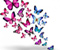 Pink Blue Butterflies 3D