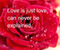 Love Quotes Cinta Cinta