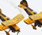 Airplanes Airshow