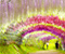 Bunga Wisteria Terowong Jepun 05