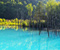 Blue Pond Biei Hokkaido 05