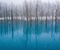 Blue Pond Biei Hokkaido 06
