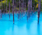 Blue Pond Biei Hokkaido 09