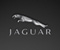 Jaguar Logo With Carbon