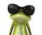Frog Eye Glasses
