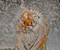 Big Cat Tigras Spray vanduo