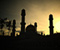 Silhouette Of A Mosque 08