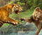 Fight of Big Cats