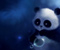 Cute Panda and Bubble
